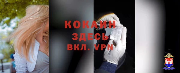 молекула духа Алексин