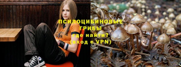молекула духа Алексин